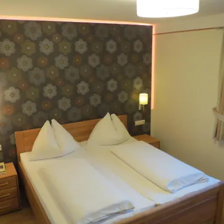 ホームステイ Zum Schwarzen Adler トゥルン